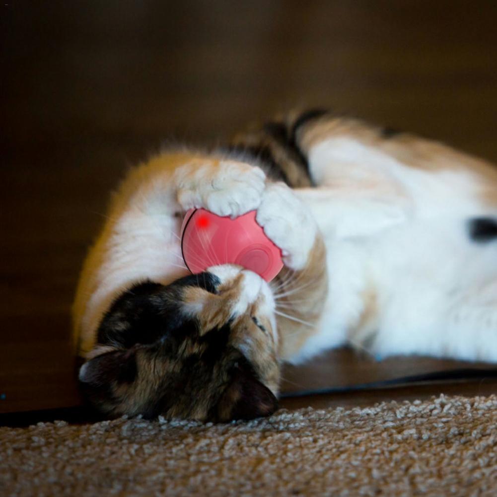 Pet Rolling Ball